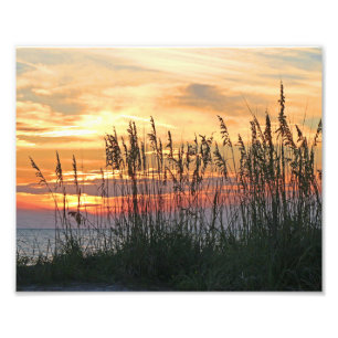 Impression Photo Coucher du soleil coloré de plage