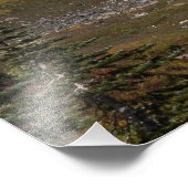 Impression Photo Couleur d'automne du mont Rainier (Coin)