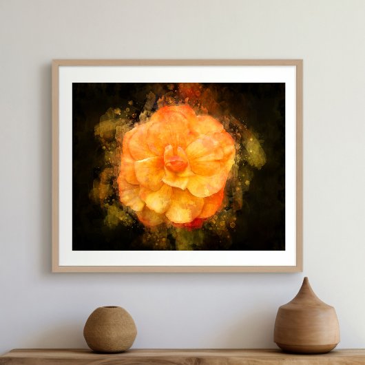 Impression Photo Couleur de fleur de Begonia - bb2