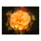 Impression Photo Couleur de fleur de Begonia - bb2 (Devant)