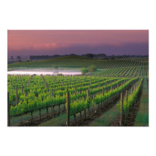 Impression Photo Couleur du lever de soleil dans le brouillard élo