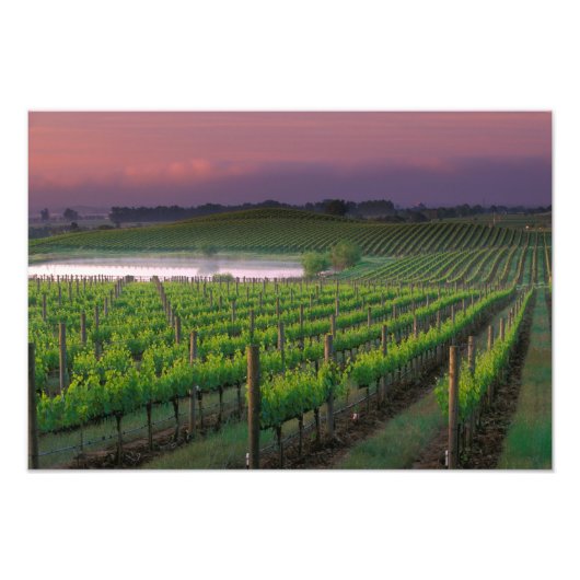 Impression Photo Couleur du soleil dans le brouillard lointain derr (Devant)