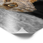 Impression Photo Couleur partielle du papillon d'hibou Brown 8x10 (Coin)