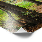 Impression Photo Couleurs d'automne (Coin)