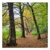 Impression Photo Couleurs d'automne (Devant)