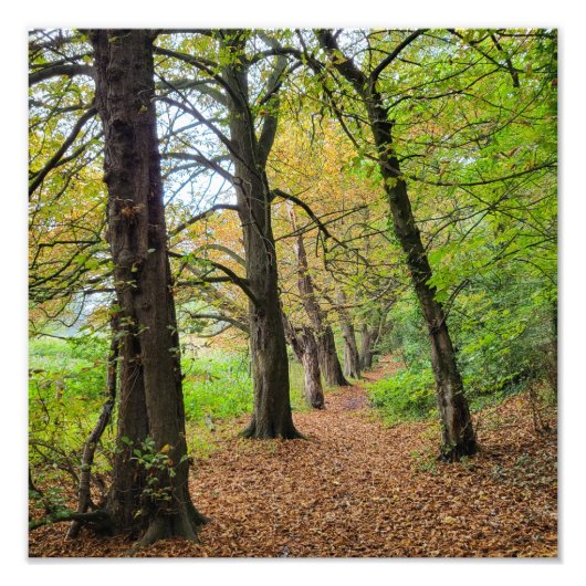 Impression Photo Couleurs d'automne (Devant)