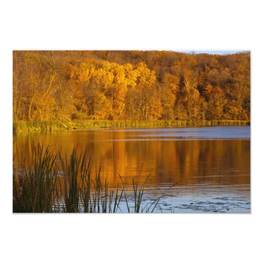 Impression Photo Couleurs d'automne dans le parc d'état de Maplewoo (Devant)