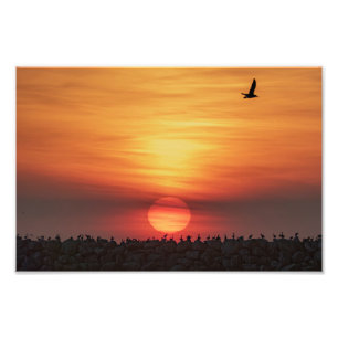 Impression Photo Couleurs de coucher de soleil magnifiques - Marina