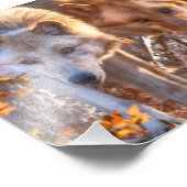 IMPRESSION PHOTO COULEURS DE L'AUTUME (Coin)