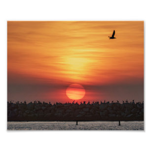 Impression Photo Couleurs Magnifiques de Coucher de Soleil - Marina