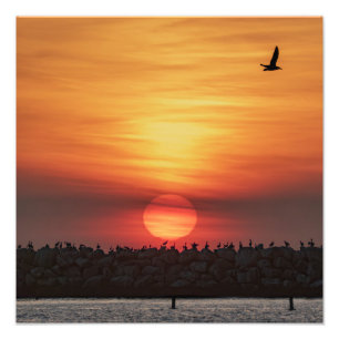 Impression Photo Couleurs Magnifiques de Coucher de Soleil - Marina