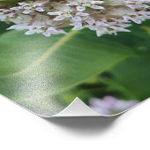 Impression Photo Couleurs surprenantes (Coin)