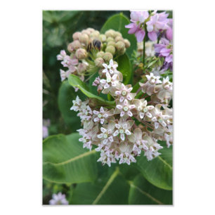 Impression Photo Couleurs surprenantes