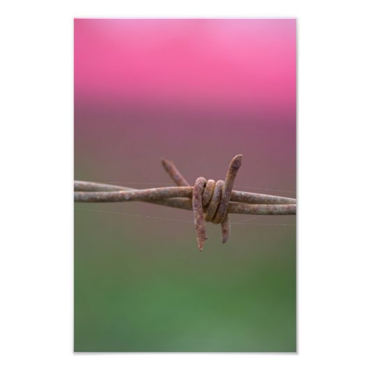 Impression Photo Couleurs vives. (Devant)