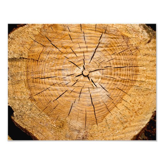 Impression Photo Coupe de vie (Devant)