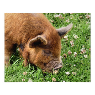 IMPRESSION PHOTO COUPER