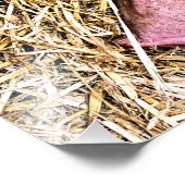 IMPRESSION PHOTO COUPER (Coin)