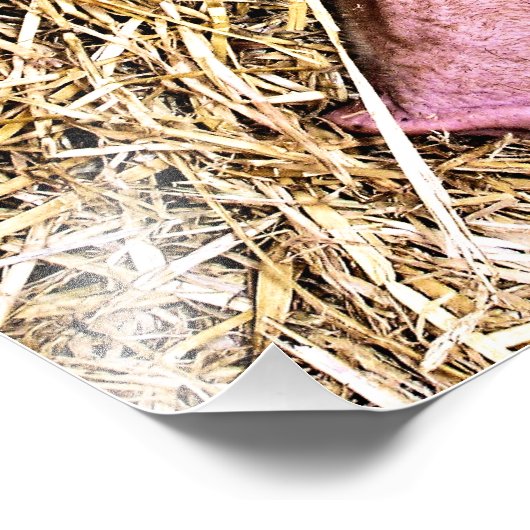 IMPRESSION PHOTO COUPER (Coin)