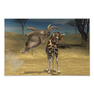 Impression Photo Coups d'éléphant sur la girafe