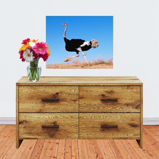 Impression Photo Courir Autruche Courir 20x16