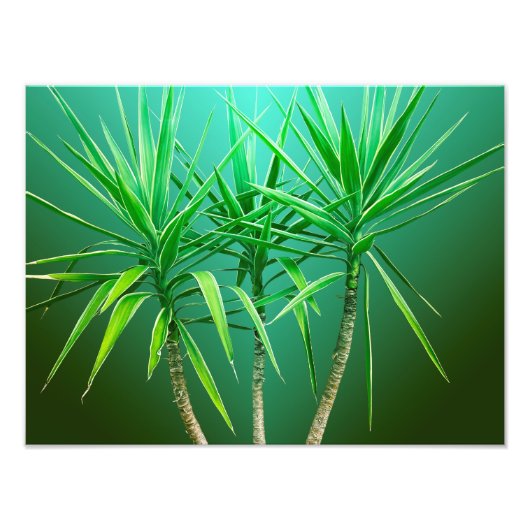 Impression Photo Coussin d'arbre palmier botanique vert (Devant)