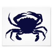 Impression Photo Crabe blanc et bleu foncé (Devant)