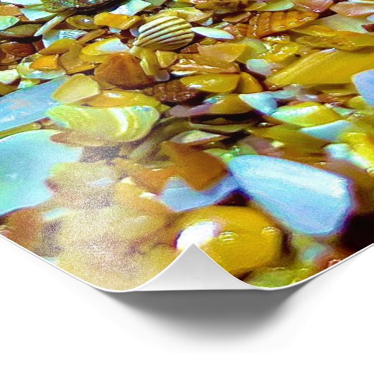 Impression Photo Crabe Fiddler (Coin)