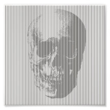 Crâne d'illusion optique