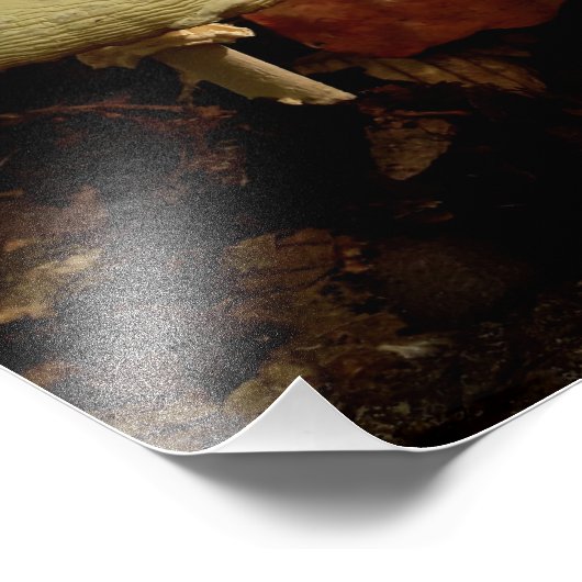 Impression Photo Crème Bowtie (Coin)