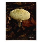 Impression Photo Crème Bowtie (Devant)