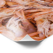 Impression Photo Crevettes (Coin)