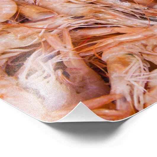 Impression Photo Crevettes (Coin)