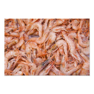 Impression Photo Crevettes