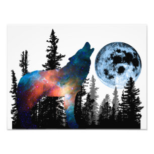 Impression Photo Cri du Loup Animal Forêt Sauvage Nature Monde Terr