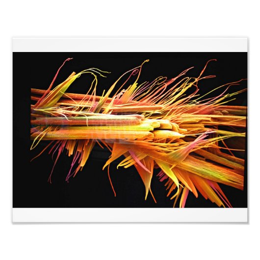 Impression Photo Cristaux de caféine Imprimer (Devant)