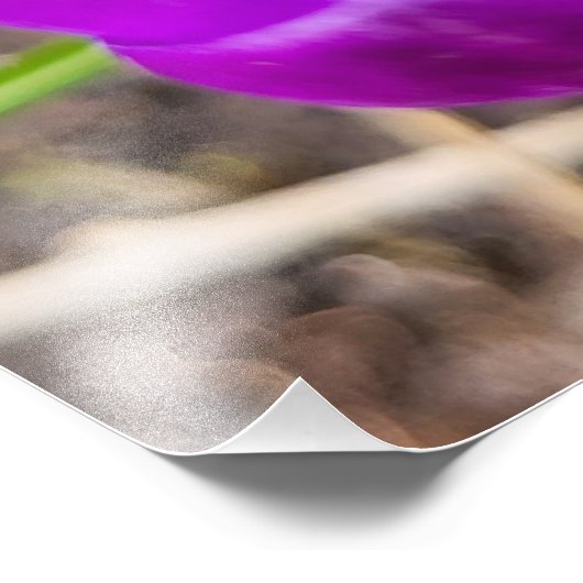 Impression Photo Crocus (Coin)