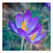 Impression Photo Crocus (Devant)