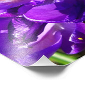 IMPRESSION PHOTO CROCUS DE PRINTEMPS (Coin)
