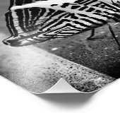 Impression Photo croisement papillon (Coin)