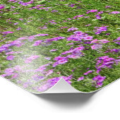 Impression Photo Croissance du caucus de la dentelle de la reine An (Coin)