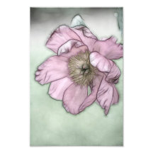 Croquis de fleur de pivoine rose