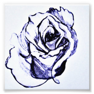 Impression Photo Croquis de fleur de rose à la main
