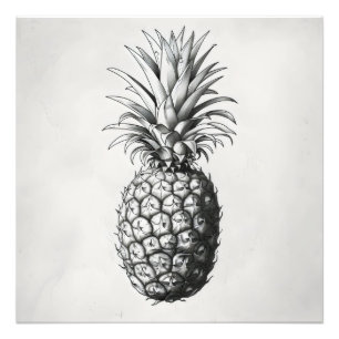 Impression Photo Croquis monochromatique ananas