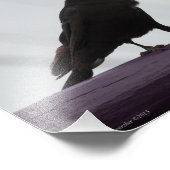 Impression Photo Crow 8X10 sur violet (Coin)