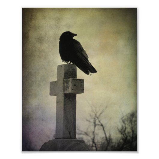 Impression Photo Crow Lone Sur Une Croix (Devant)
