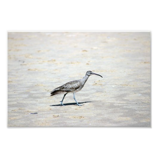 Impression Photo Crystal Cove State Park (Devant)