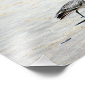 Impression Photo Crystal Cove State Park (Coin)