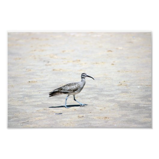 Impression Photo Crystal Cove State Park (Devant)