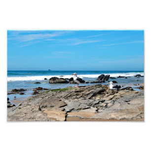 Impression Photo Crystal Cove State Park