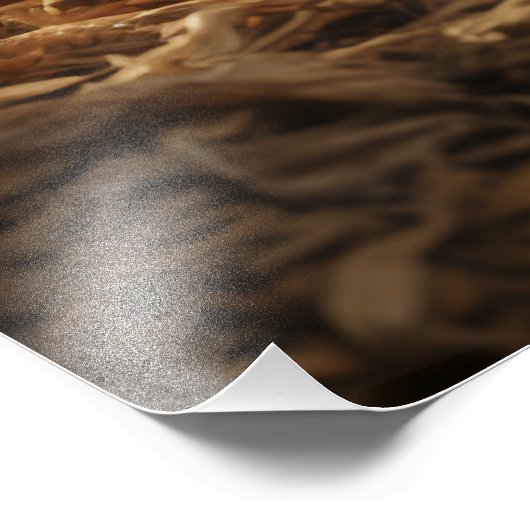 Impression Photo Cubes de renard (Coin)